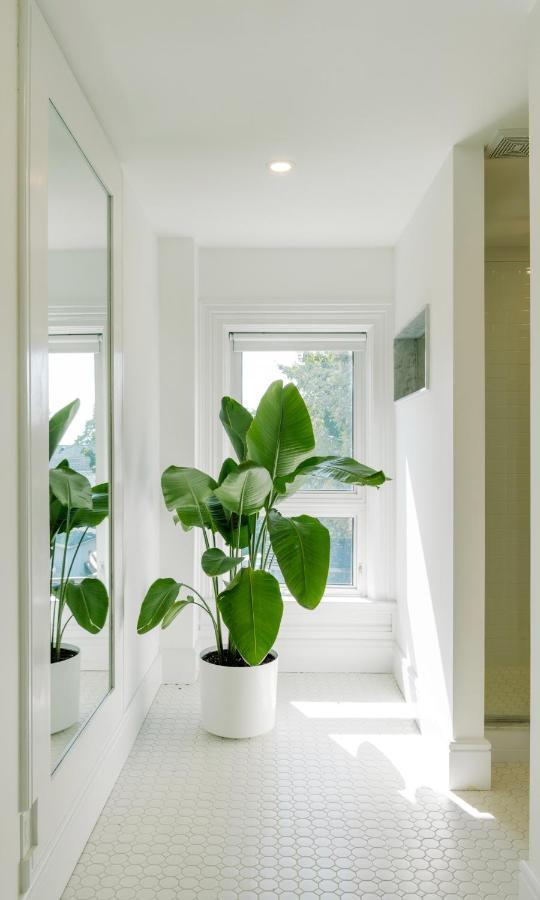 The Flats West Apartment Wellington Ngoại thất bức ảnh